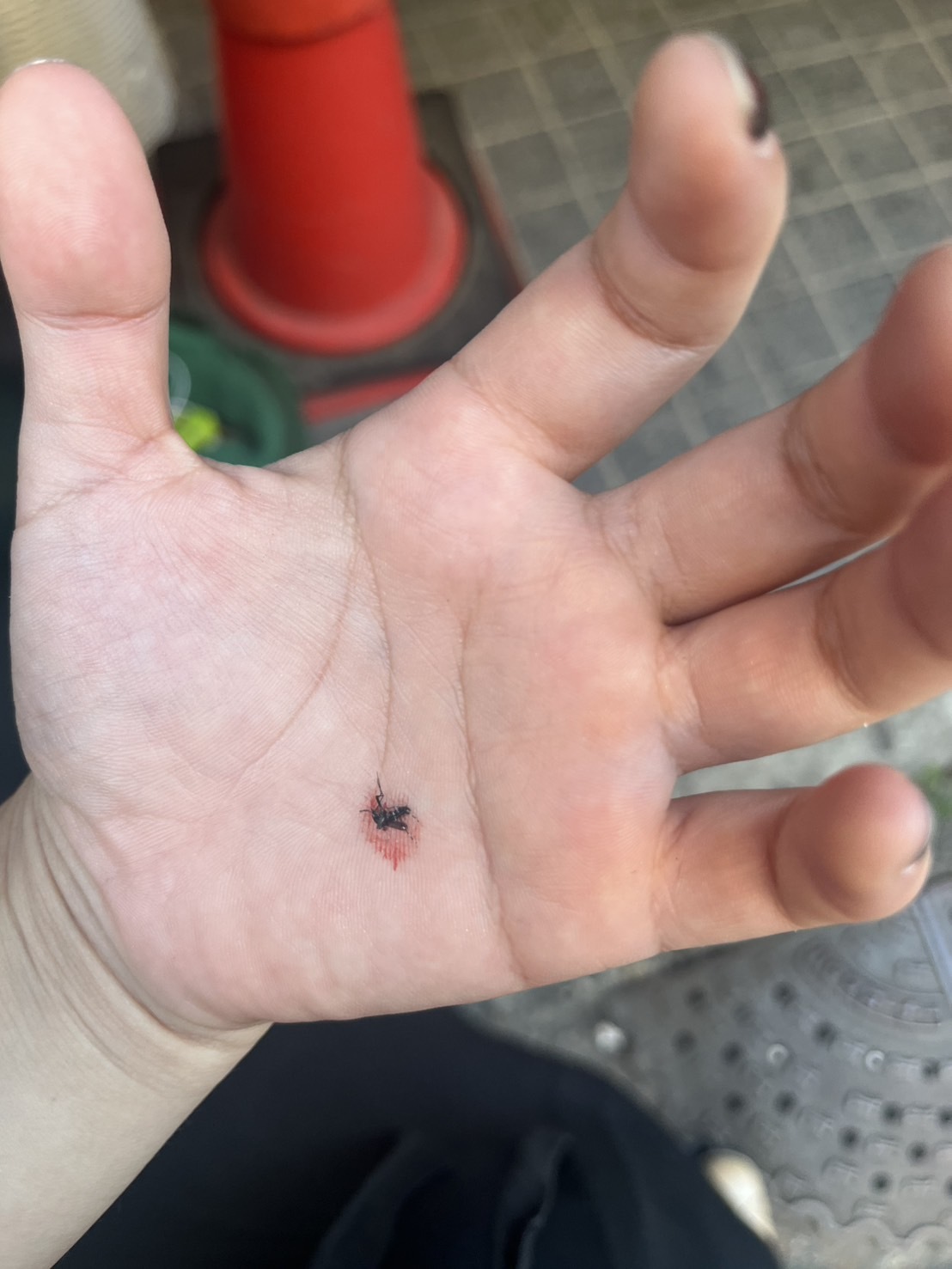 おまえらもだよー。